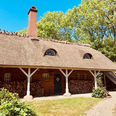 Boermoos Steinberg (Schleswig-Holstein)