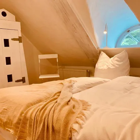 Boermoos * Steinberg (Schleswig-Holstein)