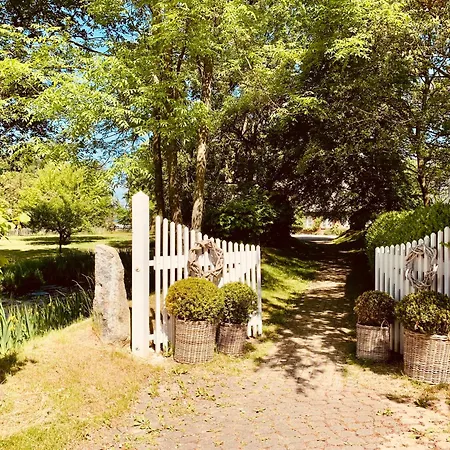 Boermoos Steinberg (Schleswig-Holstein)