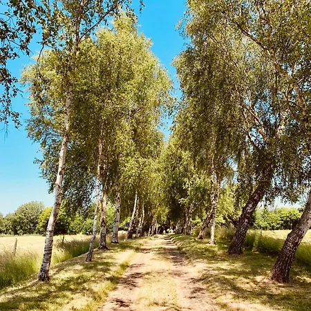 Appartement Boermoos Steinberg (Schleswig-Holstein)