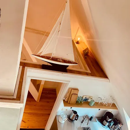Boermoos ساينبرغ