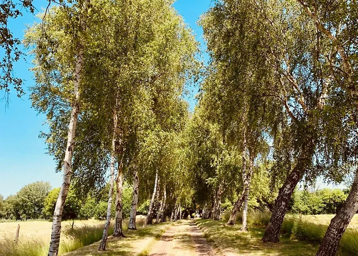 Lejlighed Boermoos Steinberg (Schleswig-Holstein)